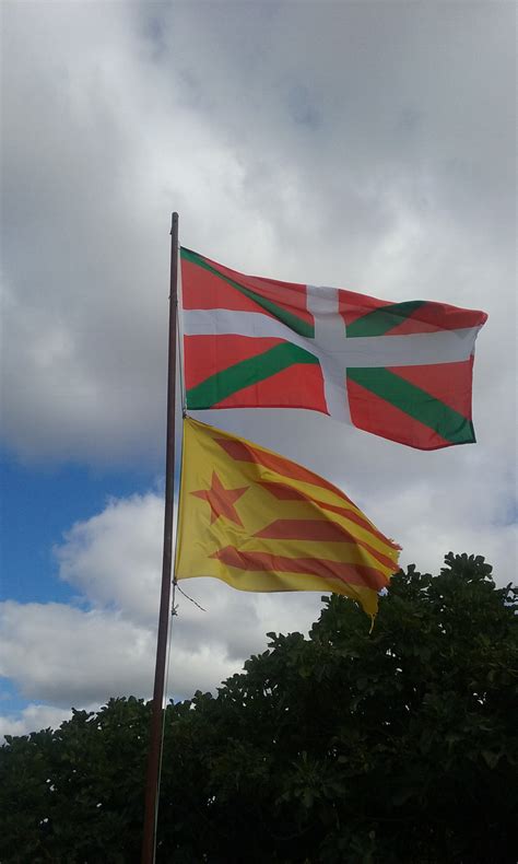 Basque Flag available to buy - Flagsok.com