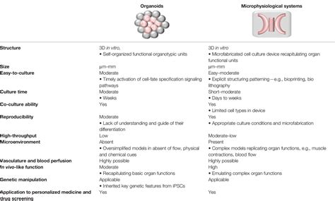 Frontiers Organoids And Microphysiological Systems New Tools For