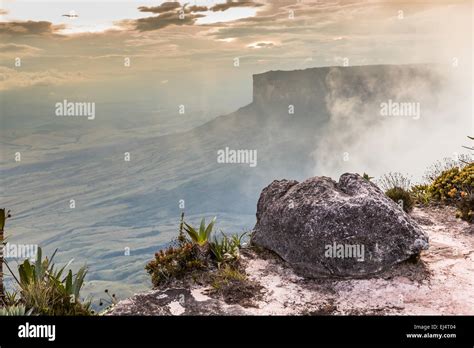 The View From The Plateau Of Roraima On The Grand Sabana Venezuela