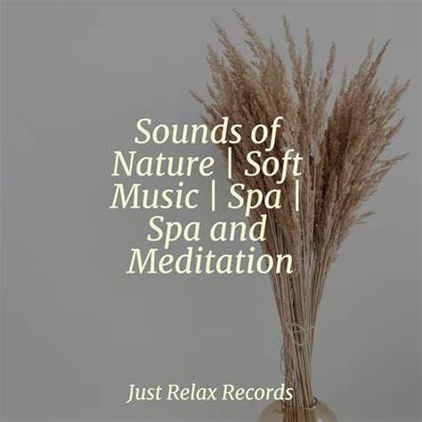 Sounds Of Nature Soft Music Spa Spa And Meditation By Happy Baby