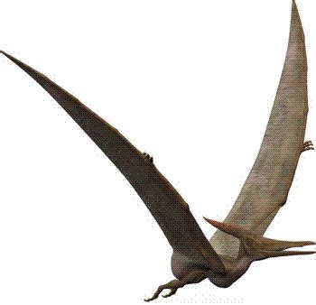 Pterosaurs