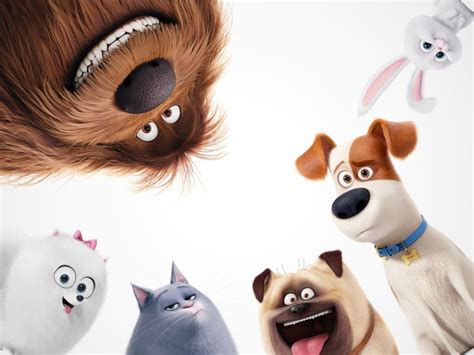 La Vida Secreta De Tus Mascotas Apple Tv Do Secret Life Of Pets