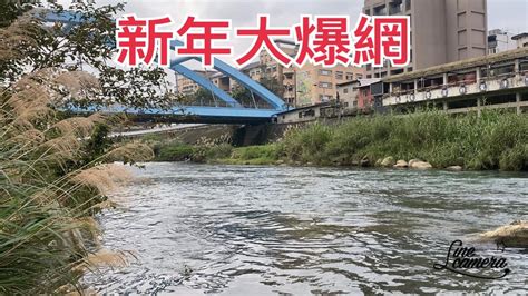 Creek Fishing In Taiwan 大年初一衝衝衝基隆河走春大爆咬 Youtube