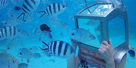 Underwater Solar Sea Walk In Grand Baie Mauritius Attractions