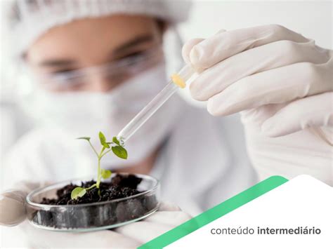 O Futuro Sustentável Da Indústria Farmacêutica