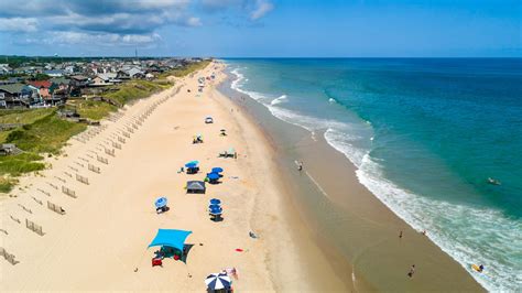 Are Dogs Allowed On Outer Banks Beaches