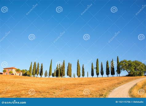 Beautiful Typical Landscape of Val D`Orcia in Tuscany at Sunset Italy ...