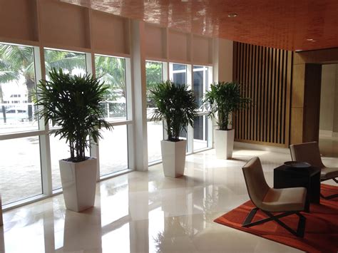 Interior Plant Design | Plant Professionals - Miami, FL