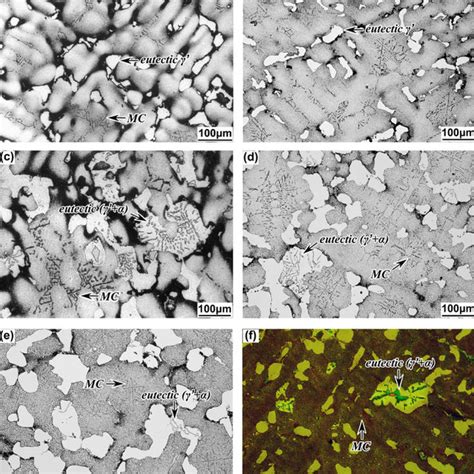 Optical Micrographs Of As Cast Alloys A Alloy B Alloy C