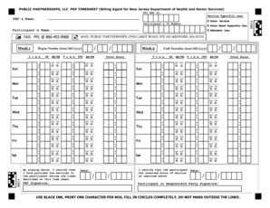 Public Partnership Timesheet Fill Online Printable Fillable