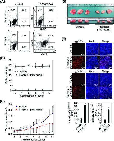 Magnolin Induces Cellular Senescence In Vivo A Skov Cells Harbor