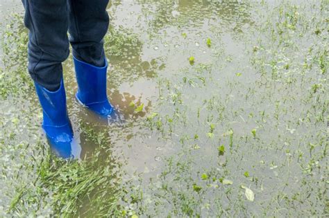 How To Fix Yard Flooding Block Lite