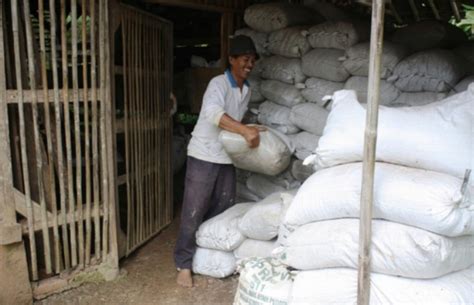 Sumedang Masih Tunggu Kuota Pupuk Bersubsidi Tahun Kabupaten