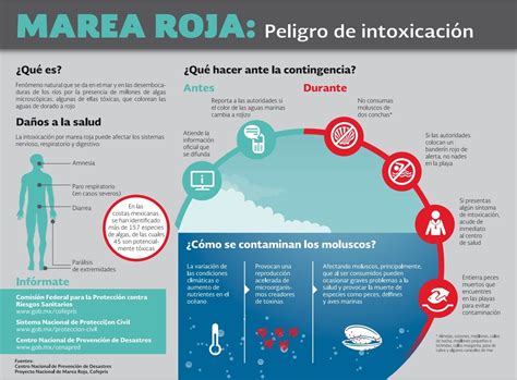 Qué Es La Marea Roja El Fenómeno Que Está Matando A Cientos De Peces