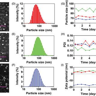 In Vitro Release Profiles Of 5FU And PRN From 5FU NMs PRN NMs And