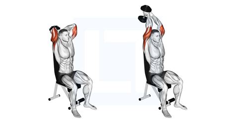 Dumbbell Seated Triceps Extension Guide Benefits And Form