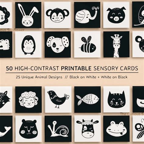 120 High Contrast Baby Cards Bundle Printable Montessori Black And