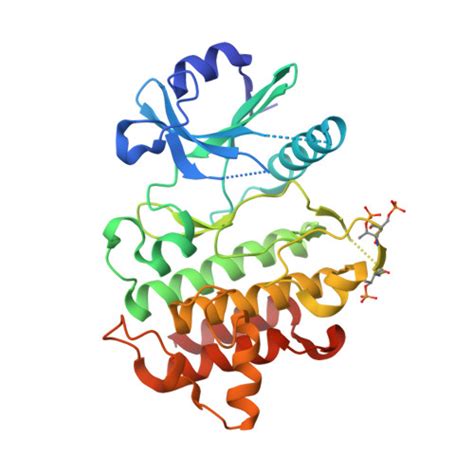 Rcsb Pdb 8br5 Discovery Of Irak4 Inhibitor 41