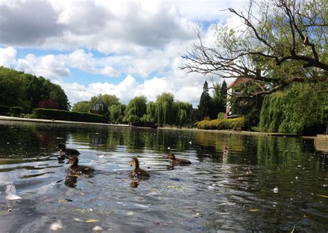 York360 Photos Of Rowntree Park York