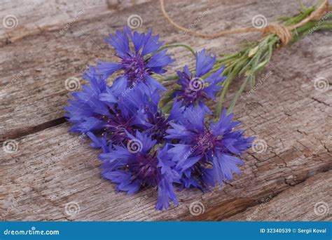 Fiori Selvaggi Blu Del Fiordaliso Su Un Vecchio Di Legno Immagine Stock