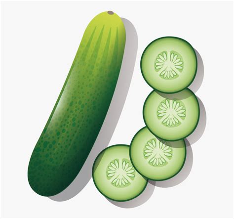 Cucumber Images For Drawing Free Transparent Clipart Clipartkey