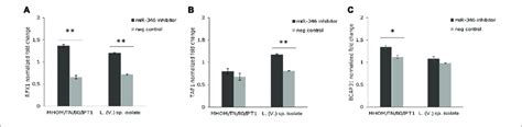 Expression Of Predicted Mir 346 Target Genes In Infected