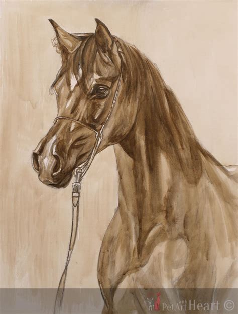 Arabian Horse Portrait In Oil Initial Sketch On The Easel