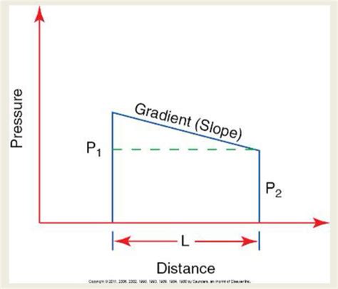 Basic Hemodynamics Flashcards Quizlet