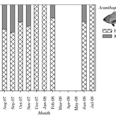 Temporal Trends In Sex Ratios Frequency Of A Butcheri In The