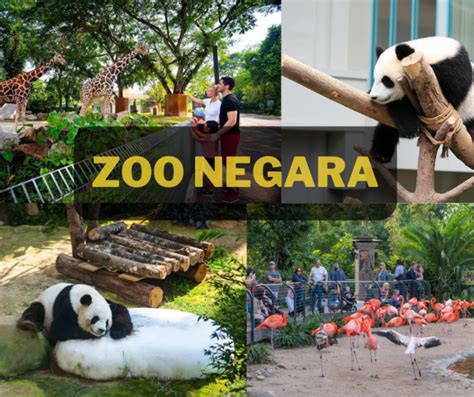 Zoo Negara Admission Ticket – Kreskent