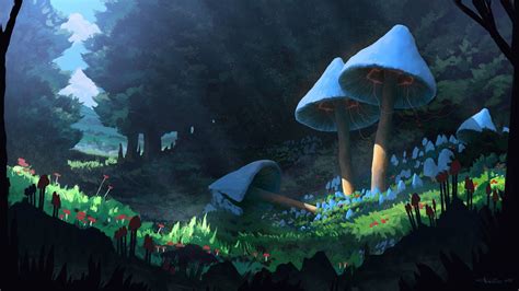 Mushroom Forest Wallpapers and Backgrounds 4K, HD, Dual Screen