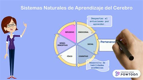 Neurociencia Y Aprendizaje Youtube