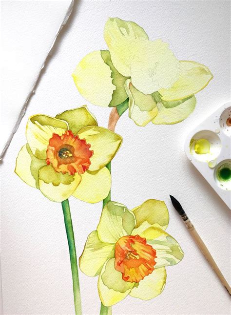 Painting Makes Me Happy Louise De Masi Watercolour Artist Botanical