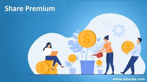 Share Premium Purpose And Issue Of Share Premium With Example