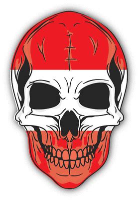 Cm Auto Aufkleber Skull Punisher Totenkopf Flagge Fahne Sterreich