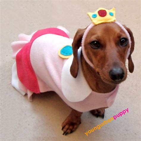 The Zeray Gazette Super Mario Bros Dog Costumes