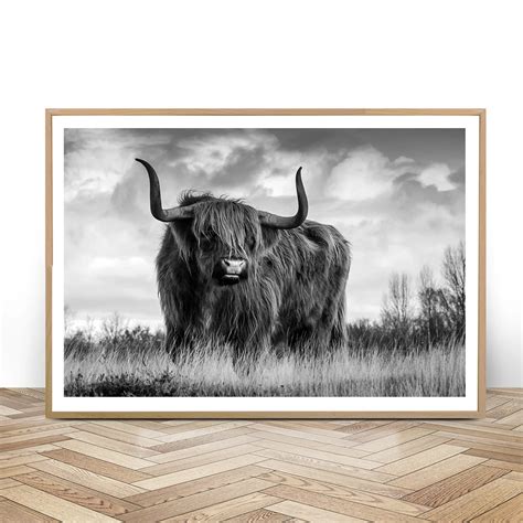 Nordic Decoration Highland Cattle Wall Art Black and White Poster and ...