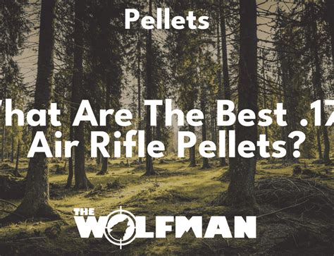 What Is The Most Accurate Pellet The Wolfman