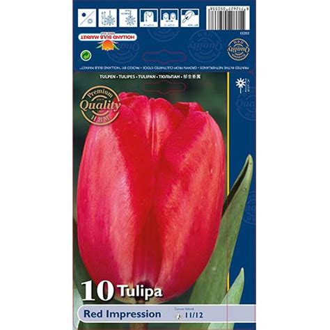 Tulip Red Impression 67813 Sibulad Osta Soodsamalt GradinaMax Ee