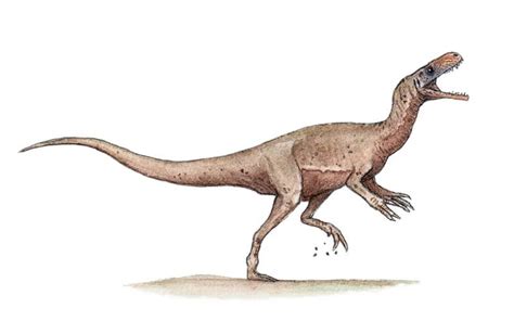 Eodromaeus: The Dawn Runner of the Late Triassic Era