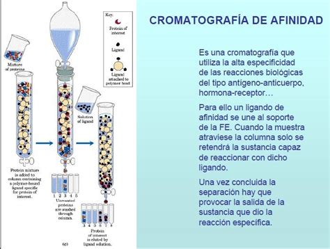 Quimica Ll CROMATOGRAFIAS