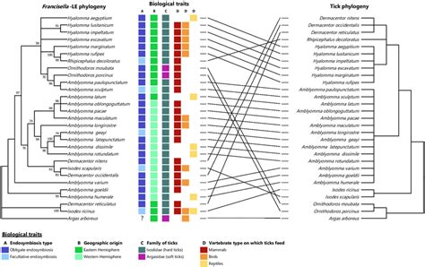 Cladogram Depicting The 50 Majority Rule Consensus Of Francisella Le