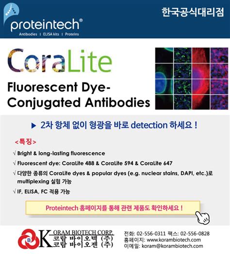 Proteintech Coralite Fluorescent Dye Conjugated Antibody