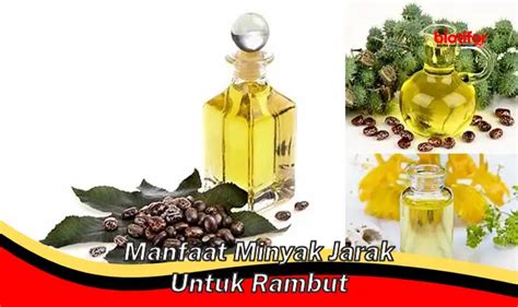 Temukan Manfaat Minyak Jarak Untuk Rambut Yang Jarang Diketahui