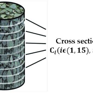 Schematic diagram of cross sections. | Download Scientific Diagram