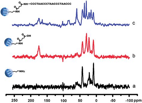 Solid State C Cp Mas Nmr Spectra Of A Msn Nh B Msn Cooh And