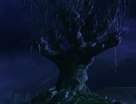 Images Of The Whomping Willow Harry Potter Wiki