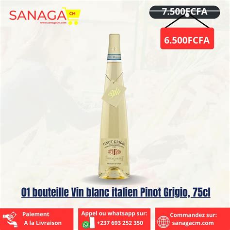 Vin Blanc Italien Pinot Grigio Cl Sanaga Cm