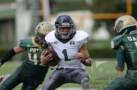 Perros Negros De Naucalpan Vence A Potros Salvajes Oro En Final De