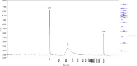 Fragment Analyzer Interpretation Cornell Institute Of Biotechnology